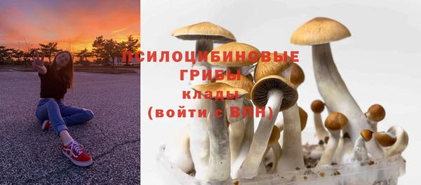 ПСИЛОЦИБИНОВЫЕ ГРИБЫ Медногорск
