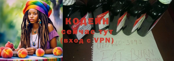 шишки Майский