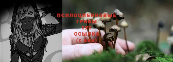 ПСИЛОЦИБИНОВЫЕ ГРИБЫ Медногорск