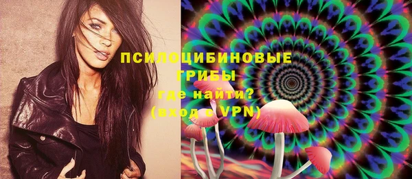 шишки Майский