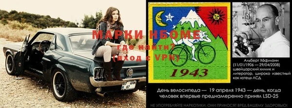 шишки Майский