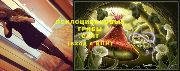 jwh Магас