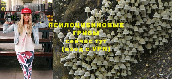 шишки Майский