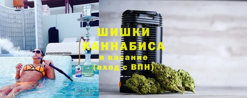 купить  цена  Нижний Ломов  Каннабис OG Kush 